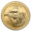 American Gold Eagle Gold Coin | 1oz 2025 - Image 2